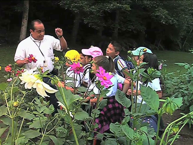 Celebrará Inecol, Día Nacional de los Jardines Botánicos