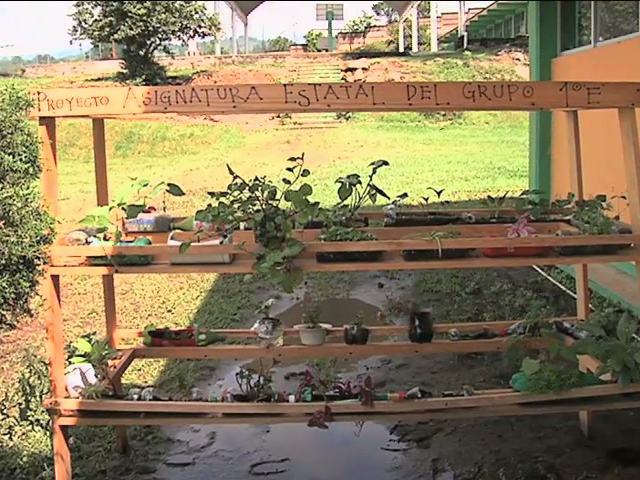 Escuelas de Xalapa se suman al Programa “Gánale al CO2”