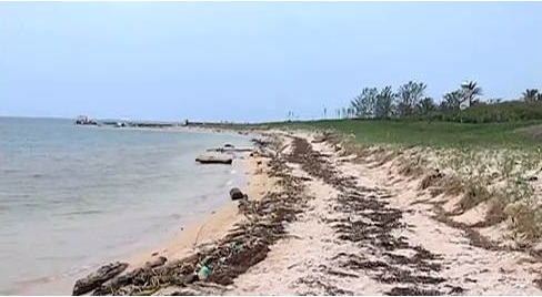 Con visitas promueven atractivos de Isla de en Medio, en Antón Lizardo