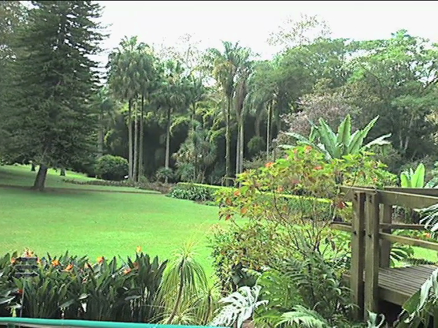 Lluvia daña colección de plantas en el Jardín Botánico “Francisco Javier Clavijero”