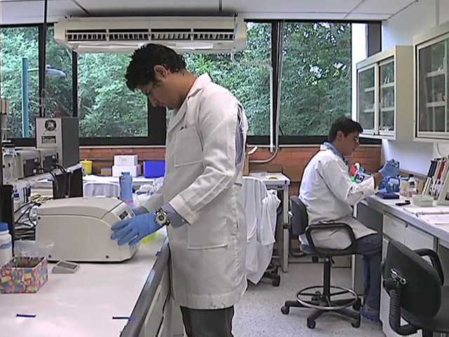 Verano científico en el Inecol