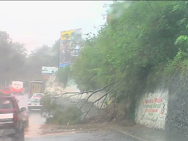 Ramas caídas y encharcamientos en Xalapa por lluvias del fin de semana