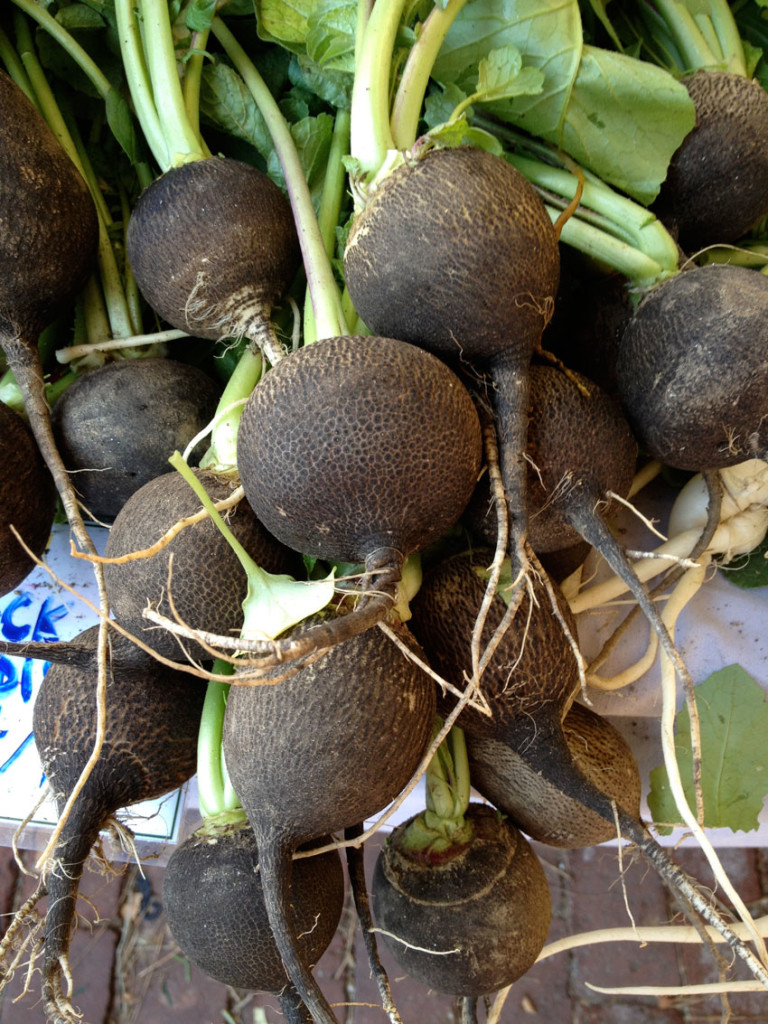 Las propiedades del rábano negro MÁSNOTICIAS