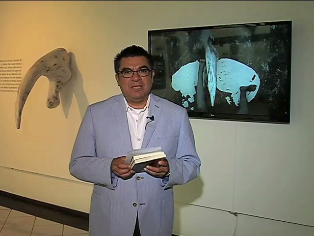 “El sonido de las letras”, David Markson