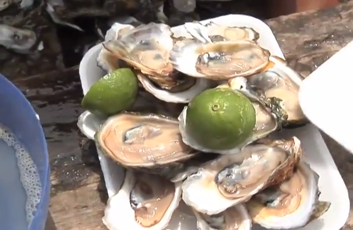 La acuacultura en Veracruz, generadora de empleos y alimentos saludables: Sedarpa