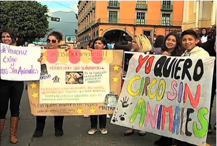 Animalistas piden audiencia para evitar circos con animales en Veracruz