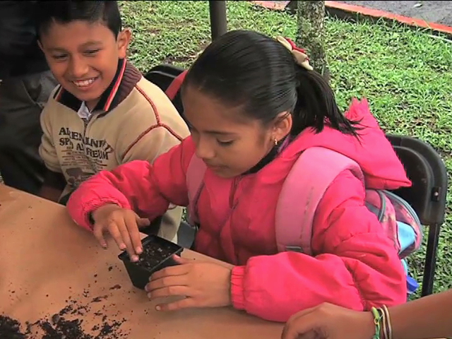 Inicia el IV Festival “Siembra un árbol en tu imaginación”