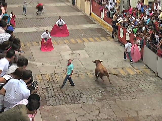 Quiere diputado de Coatepec que se vote el jueves el dictamen que autoriza nuevamente peleas de gallos y corridas de toros