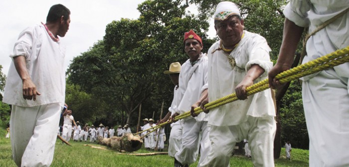 Este sábado, próxima ceremonia de corte, arrastre y levantamiento de Palo Volador