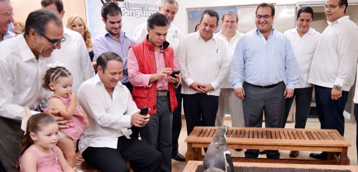 Es Veracruz, ejemplo de cuidado y preservación de la vida marina: Javier Duarte