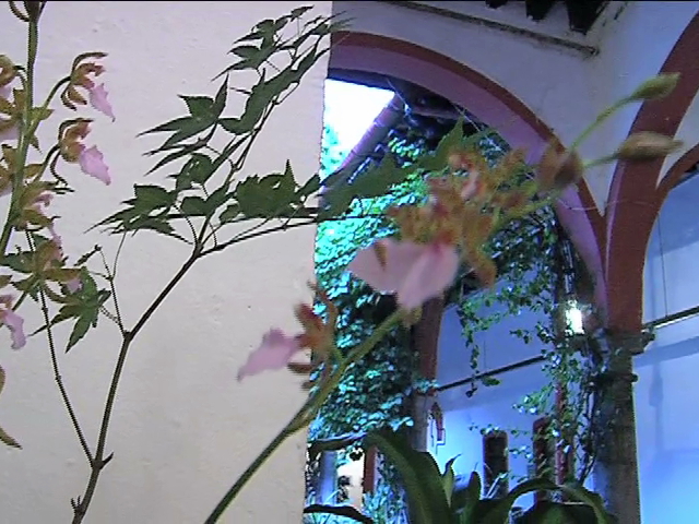 Perfumada exposición “Ikebana, arreglo floral japonés” en el Centro Recreativo Xalapeño