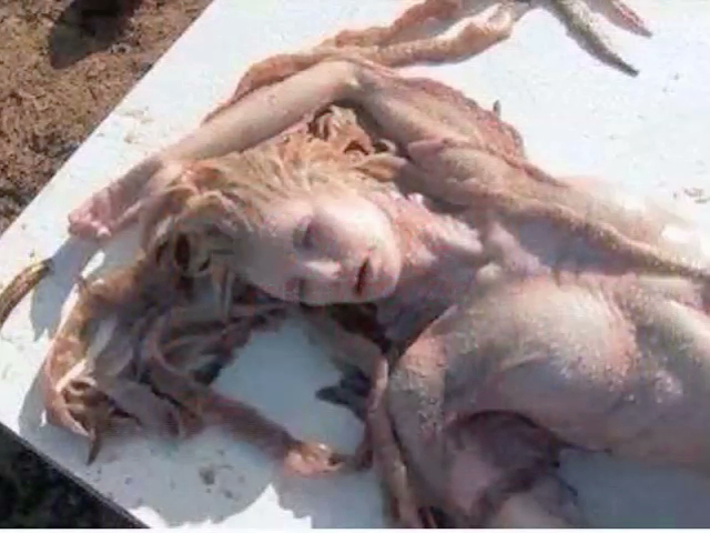 De la película “Piratas del Caribe”, sirena encontrada en playas de Pajapan