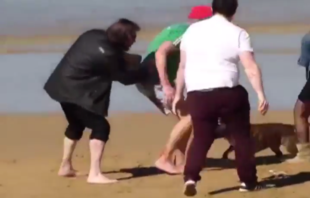 Recomendaciones para evitar que tu perro sea agresivo y no poner en riesgo a tu familia.