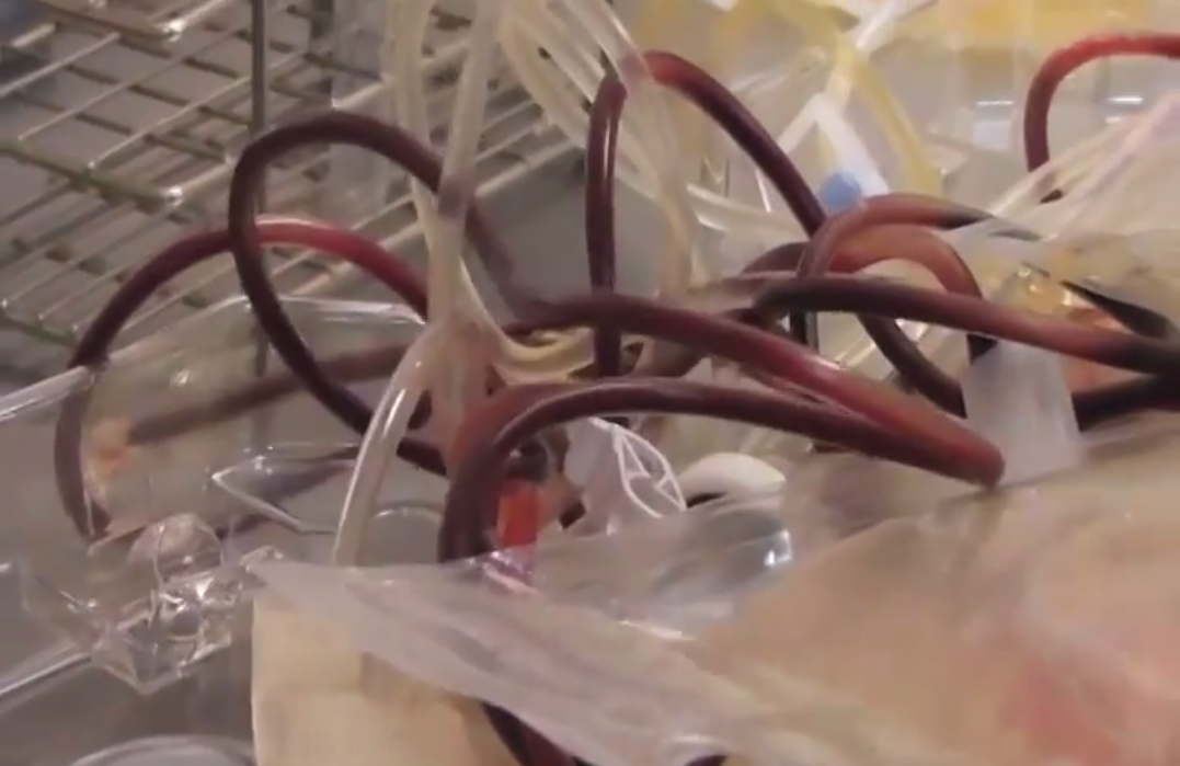 La sangre no se vende ni comercializa en el Hospital Regional de Coatzacoalcos.