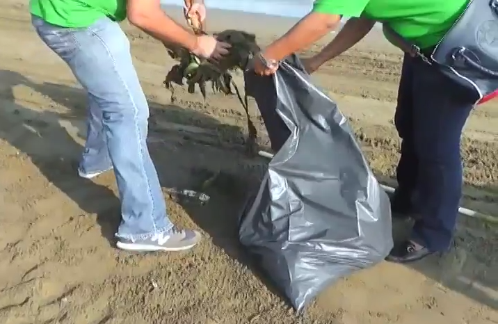 Festejan el Día Internacional de Limpieza de la Playas en Coatzacoalcos.