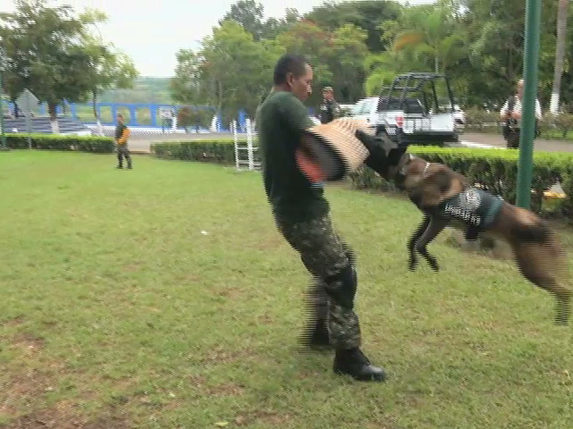 Agrupamiento Canino de la Fuerza Civil de Veracruz, unión, disciplina y eficacia