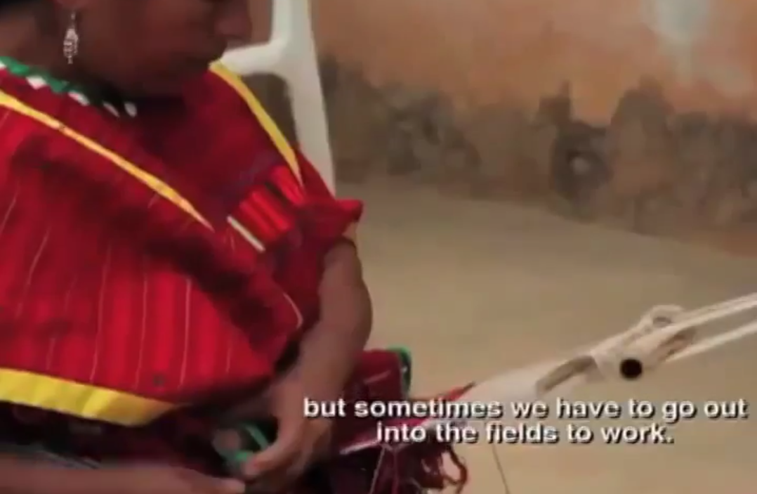 Fomentarán el rescate de las lenguas indígenas en los campus de la UV Zona Sur.