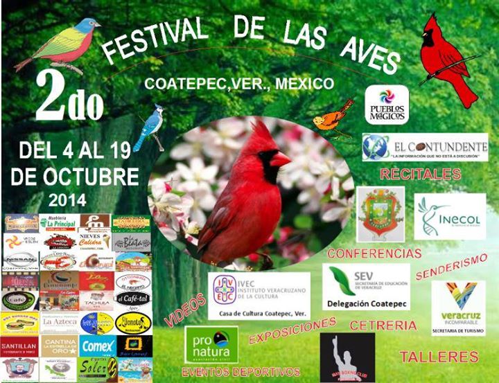 Cetrería y talleres en el  II Festival de las Aves en Coatepec