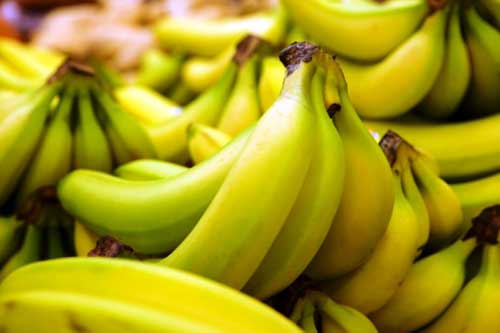 Firman México y China protocolo fitosanitario para la exportación de plátano mexicano al país asiático