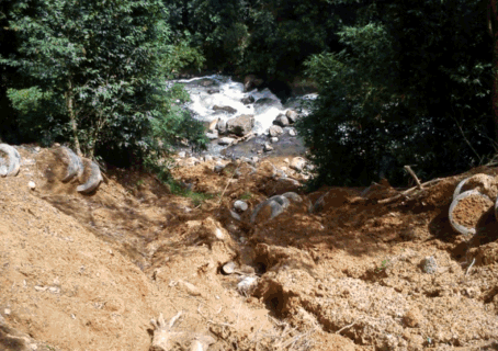 Inecol y PC realizarán Foro sobre Deslizamientos de Laderas