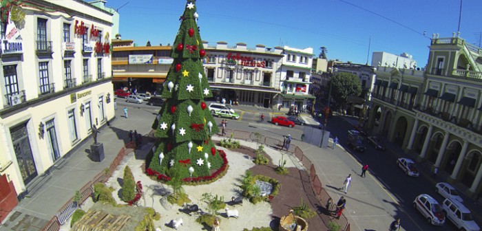 Todo listo para encender el pino navideño en Xalapa: SEV
