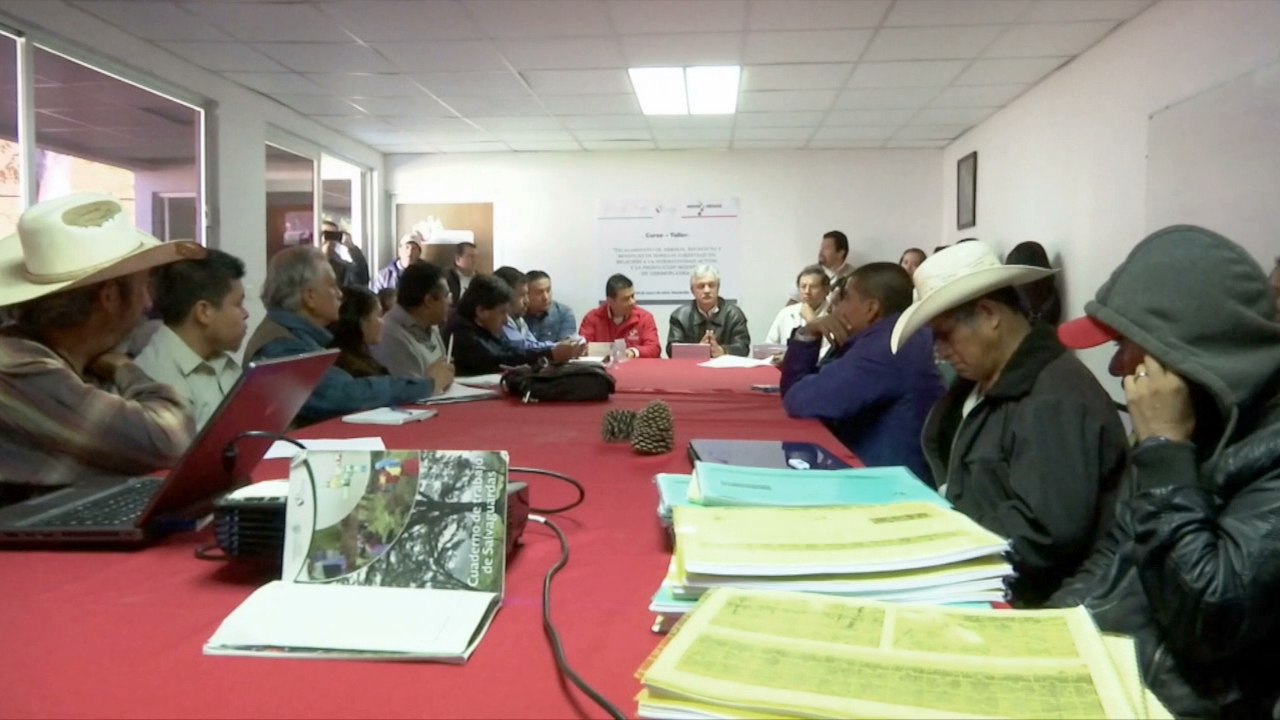 Capacitan a silvicultores en manejo y producción de recursos genéticos forestales