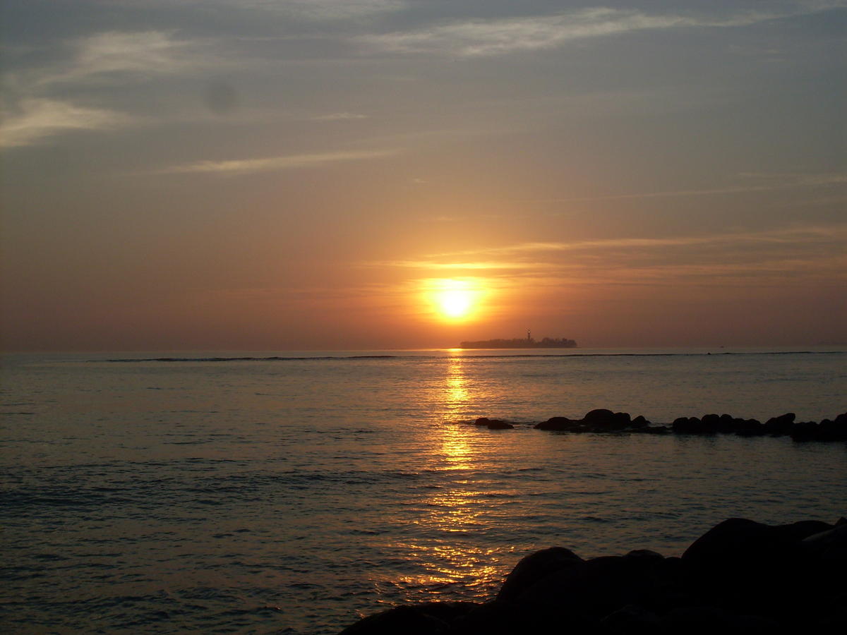Reciben el año en el Malecón de Veracruz