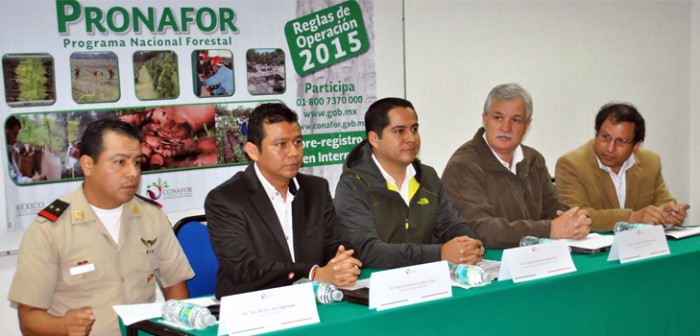 En 2015, Veracruz sumará cinco mil hectáreas más de plantaciones forestales