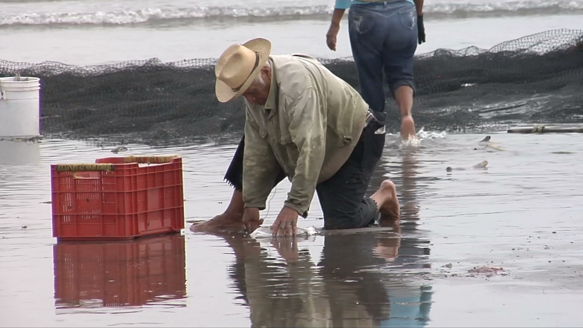 Pescadores piden indemnización a Pemex por derrame del buque “Burgos”