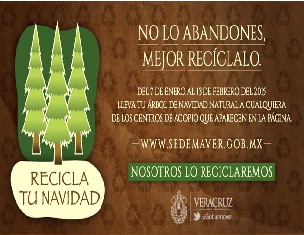 Familias veracruzanas responden al acopio de pinos navideños