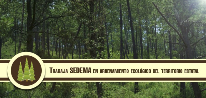 Trabaja Sedema en ordenamiento ecológico del territorio estatal