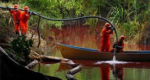 Persisten afectaciones ambientales por derrame de Pemex en Tierra Blanca