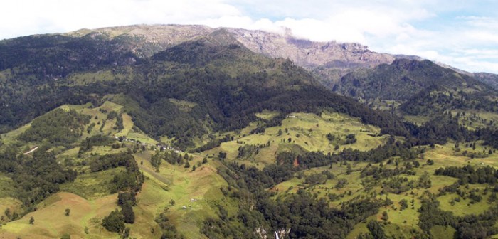Gobierno de Veracruz, con acciones concretas para hacer frente a los efectos del Cambio Climático