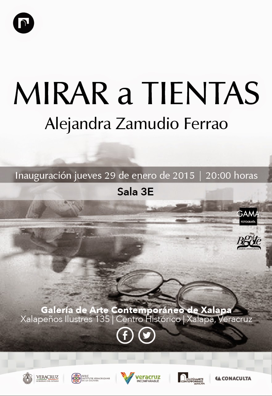 Fotografía y grullas en la Galería de Arte Contemporáneo de Xalapa