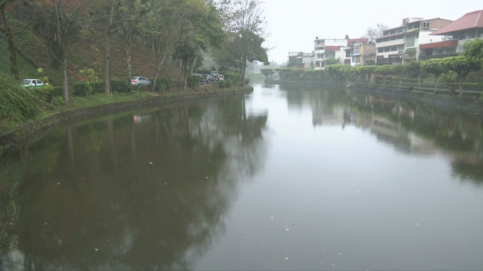 Inecol y ayuntamiento mantienen trabajos de limpieza en Los Lagos