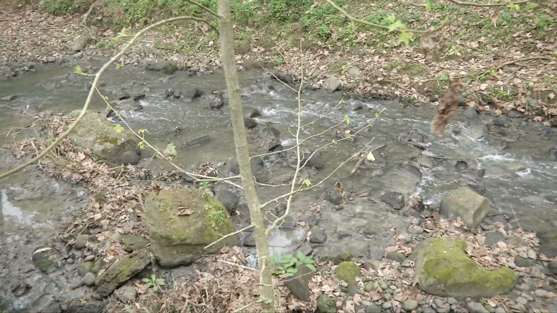 Inicia consulta pública para declarar Área Natural Protegida al río Sedeño