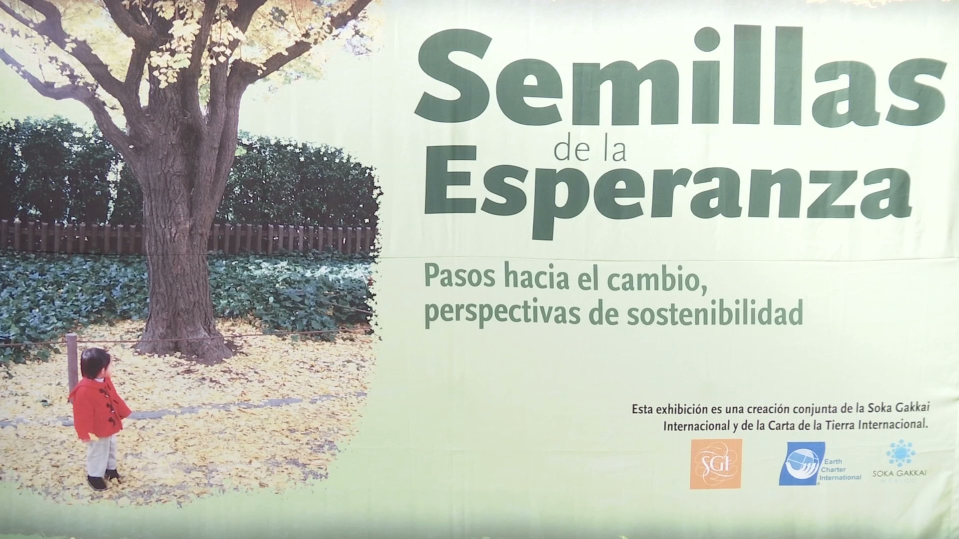 Contará UV con el primer reglamento para la sustentabilidad en el país