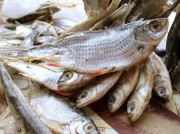 Intensifica Secretaría de Salud acciones de verificación sanitaria por inicio de la Cuaresma