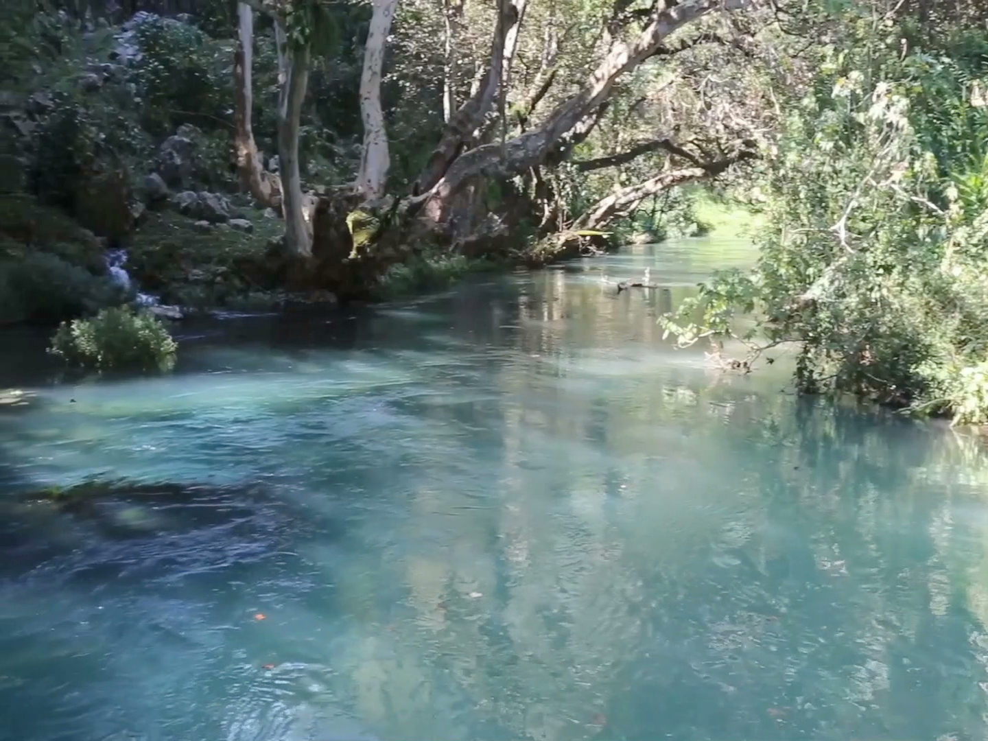 Vigilará PC ríos durante puente largo