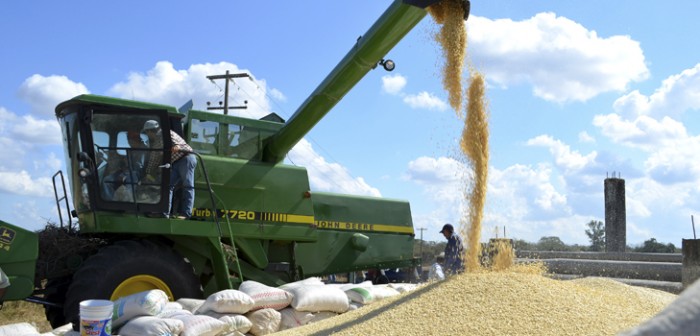 Anuncia FND más de 3 mil 500 mdp en créditos para el campo veracruzano