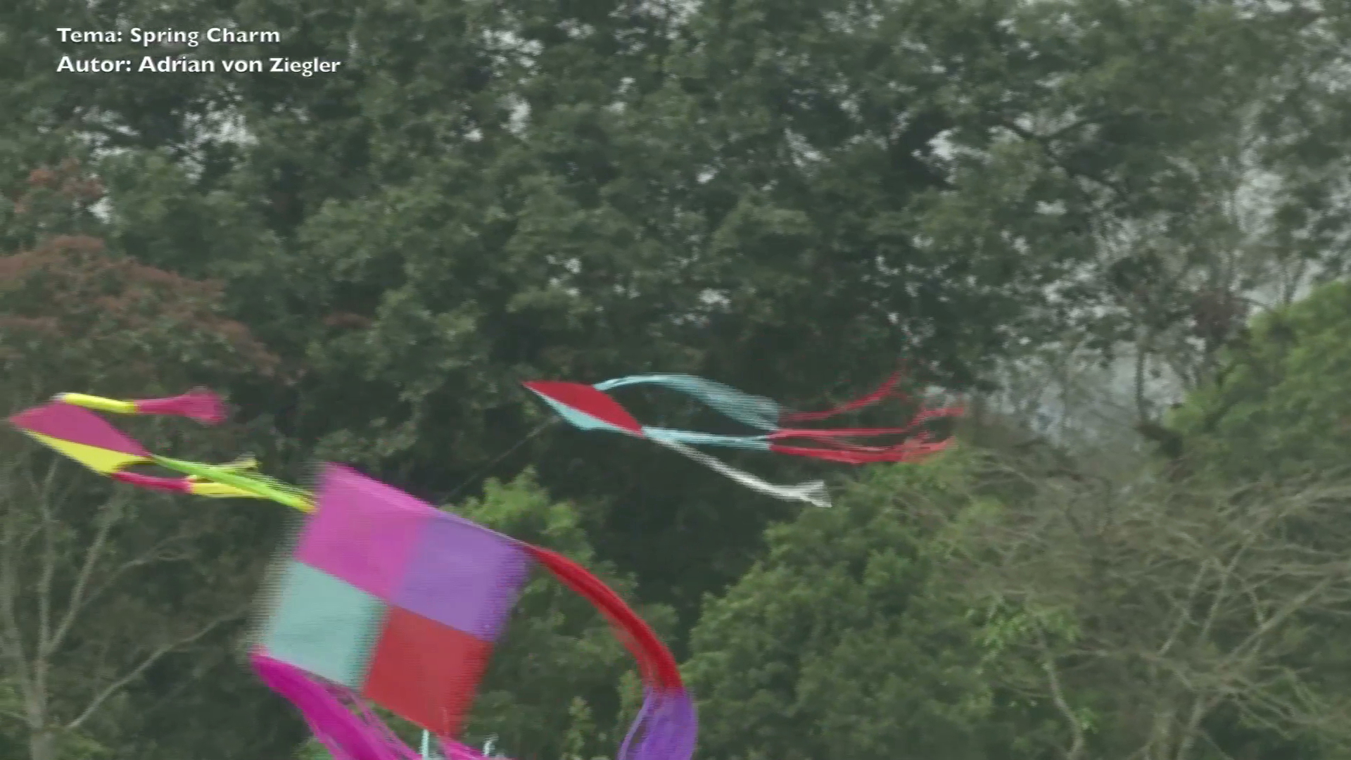 Niños elevaron papalotes con mensajes de paz en Pacho Nuevo