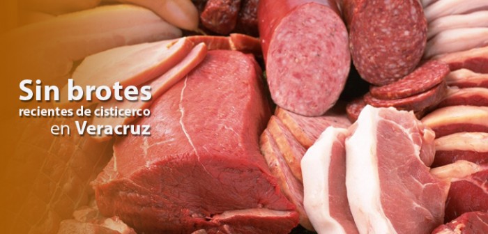 Sin brotes recientes de cisticerco en Veracruz: SS