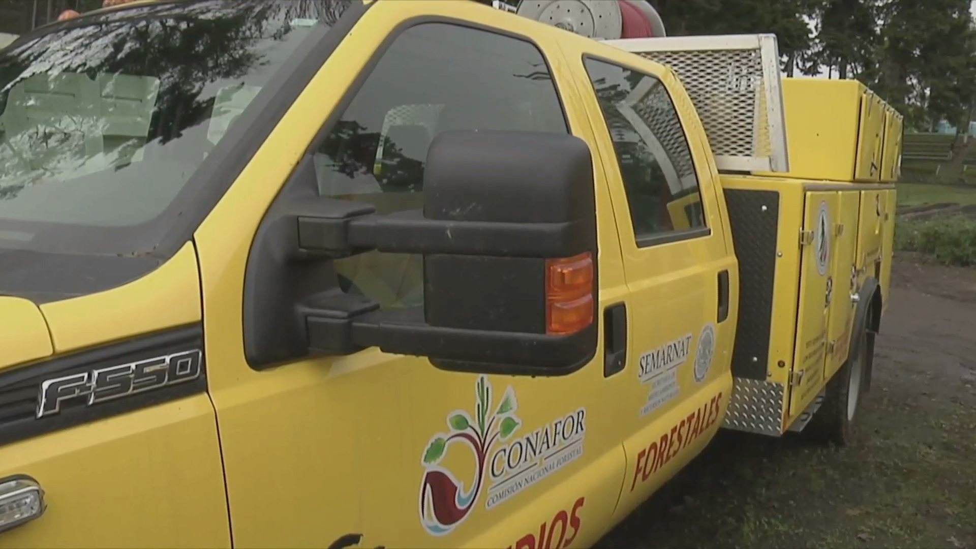 Disminuye afectación de superficies afectadas por incendios forestales