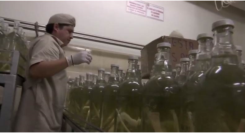 Licores de Xico, con poderes curativos