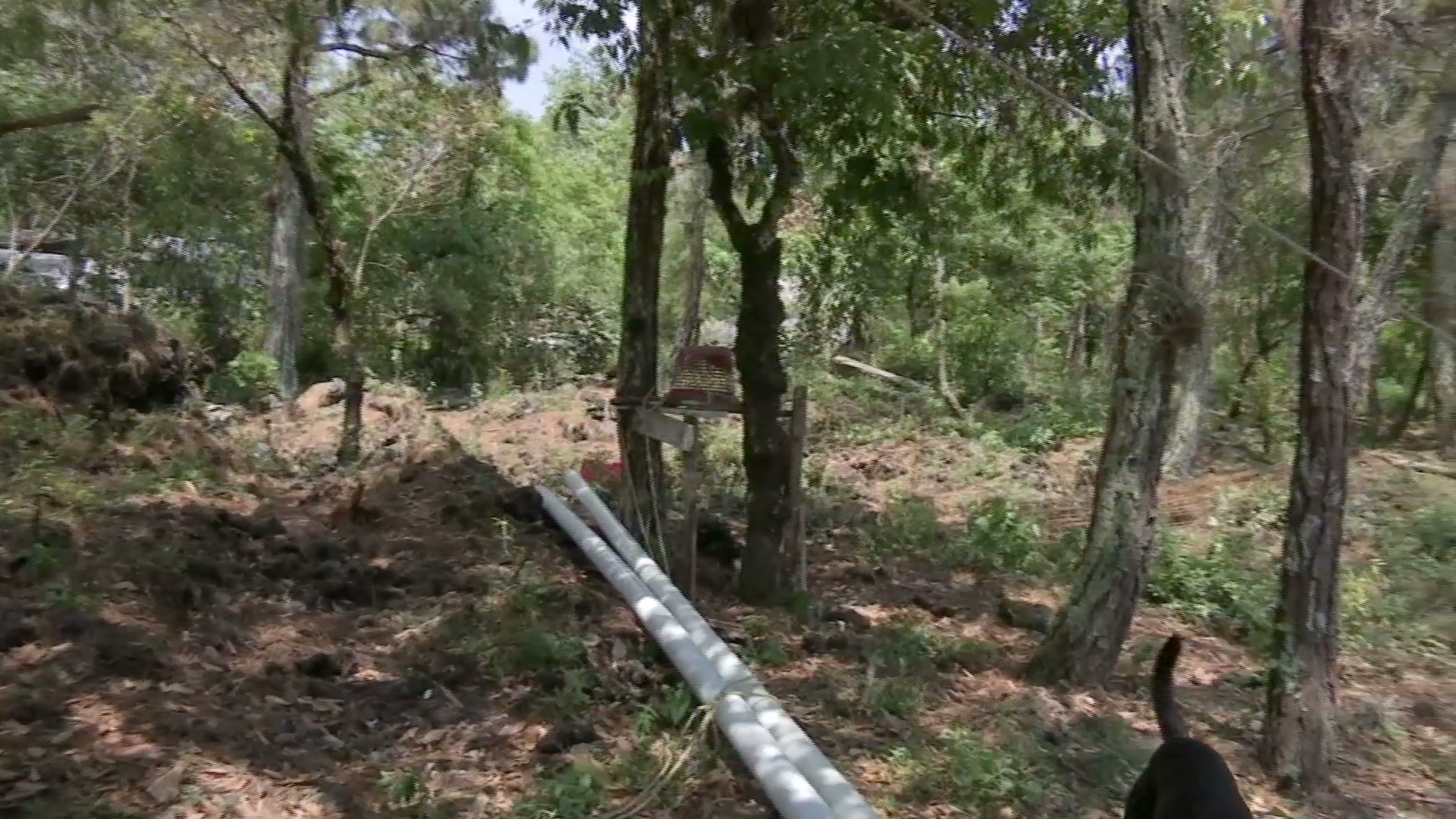 Dan de alta a dos de los tres heridos por caída de rayo en Jilotepec