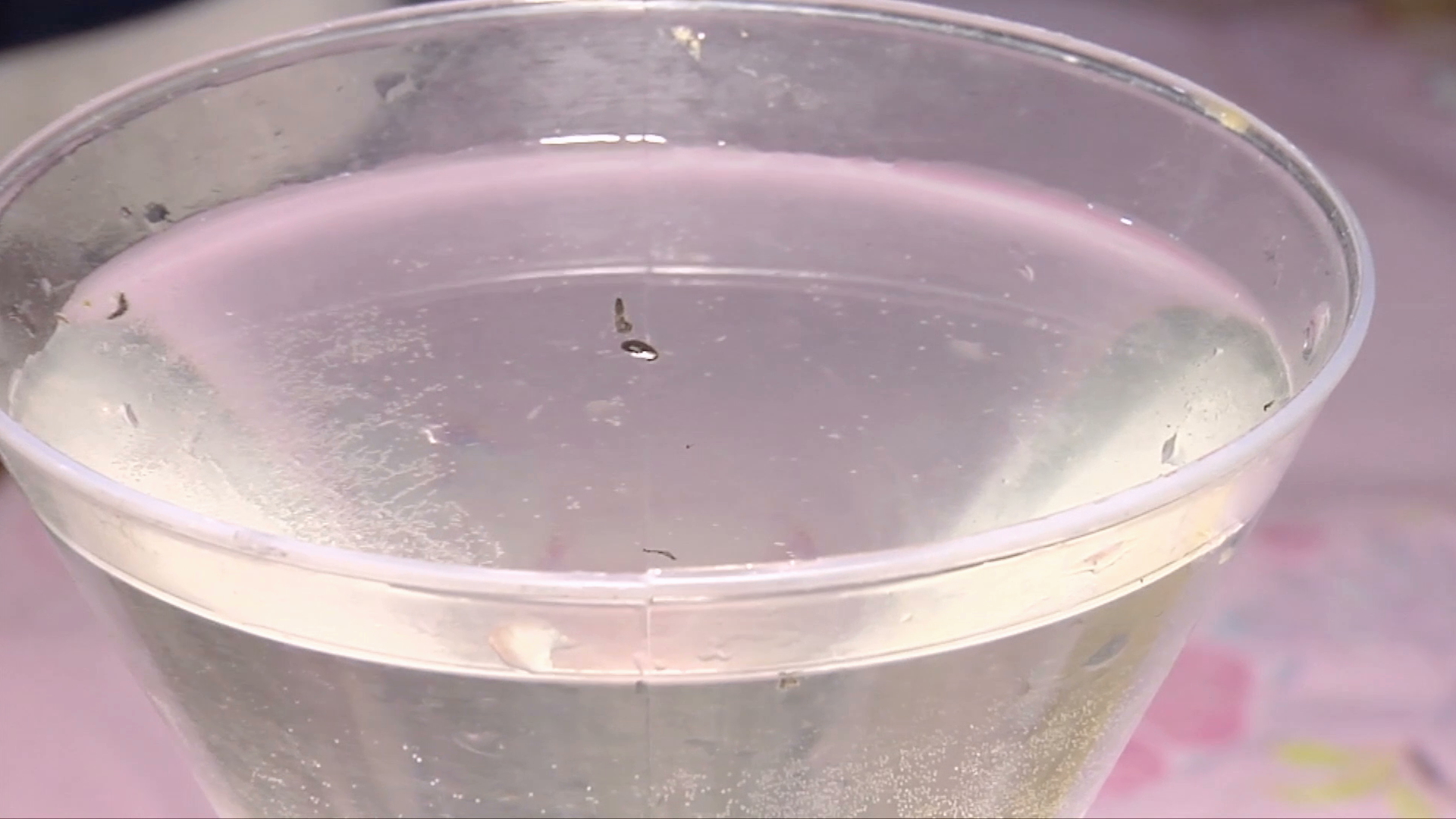 Vecinos de Puente Moreno se abastecen de agua sucia; ya hay enfermedades