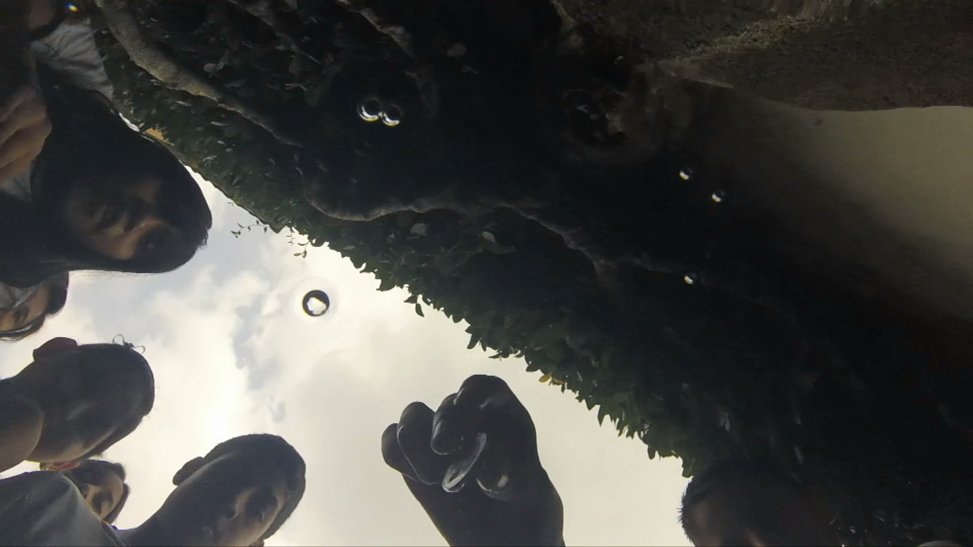 “La fuente de los deseos” de la hacienda de El Lencero