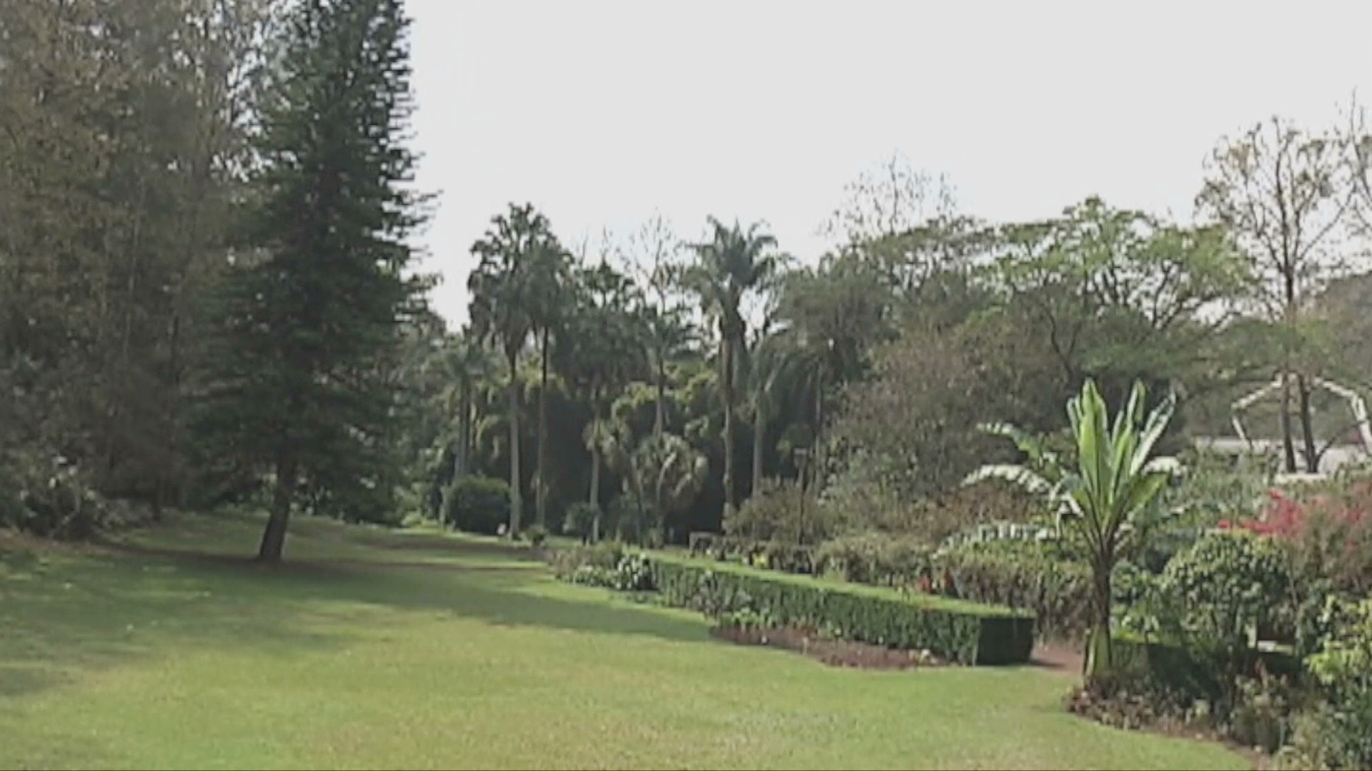 Celebra Inecol Día Nacional de los Jardines Botánicos