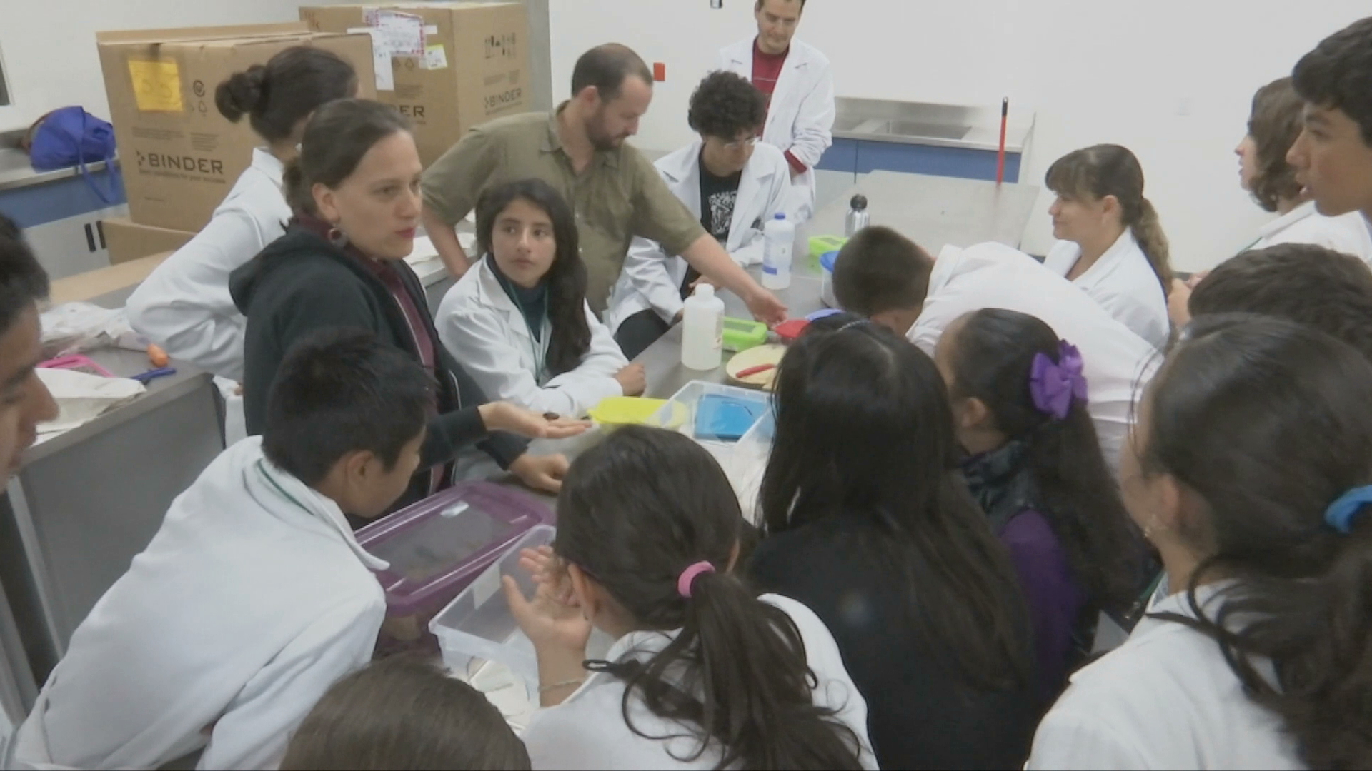 Niños aprenden ciencia jugando en el Inecol
