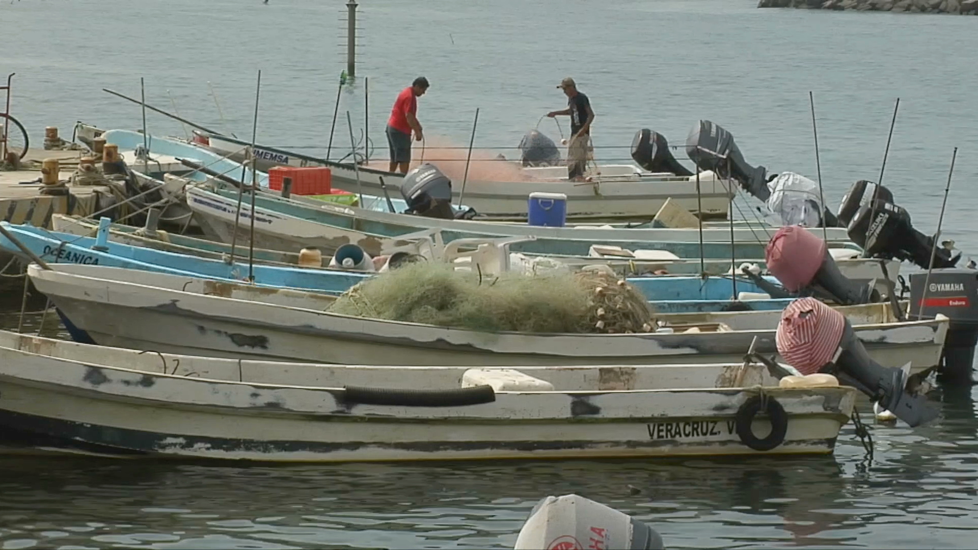 Lluvias beneficiaron a pescadores de Veracruz